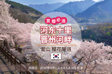 釜山河东晋州赏樱一天团