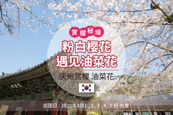 首尔庆州赏樱一天团