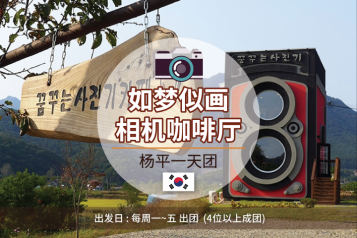 杨平一天团
