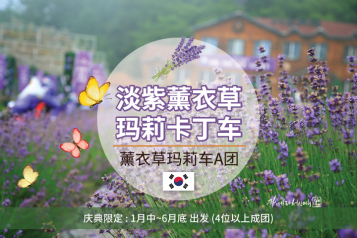 薰衣草庆典+玛莉欧赛车A一天团