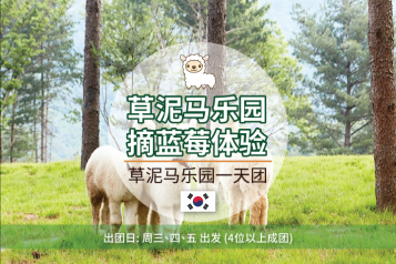 草泥马乐园一天团