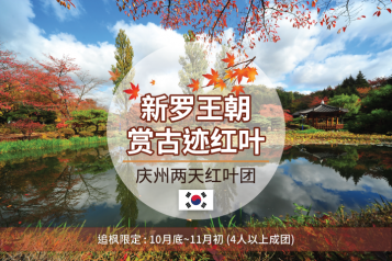 庆州红叶两天一夜团