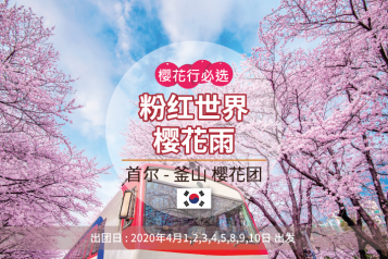 首尔出发>镇海樱花道一天团