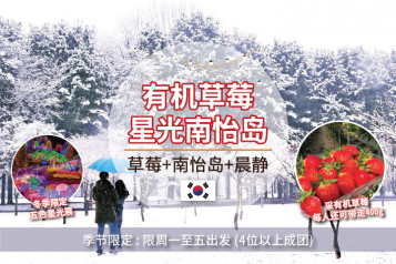 草莓农场+南怡岛+晨静一天团